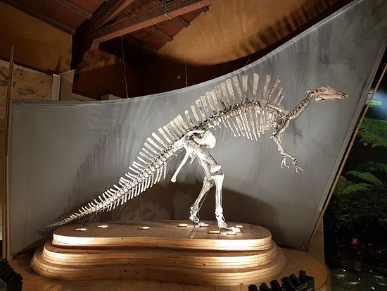 Museo di Storia Naturale